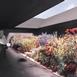 Peter Zumthor, Serpentine pavilion courtyard